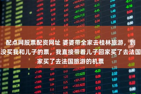 配点网股票配资网址 婆婆带全家去桂林旅游,到检票口发现没买我和儿子的票,我直接带着儿子回家买了去法国旅游的机票