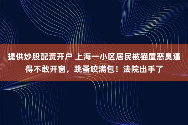 提供炒股配资开户 上海一小区居民被猫屋恶臭逼得不敢开窗，跳蚤咬满包！法院出手了