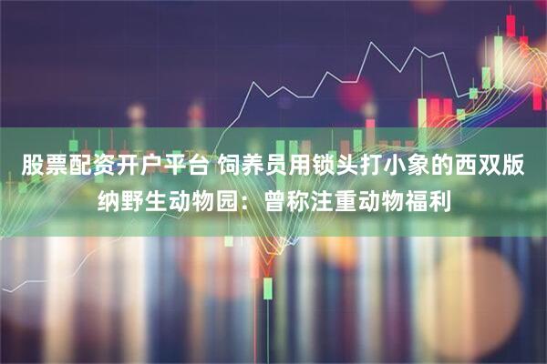 股票配资开户平台 饲养员用锁头打小象的西双版纳野生动物园：曾称注重动物福利